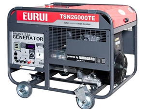 日本東洋汽油發(fā)電機(jī)TSN26000TE