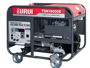 日本東洋汽油發(fā)電機(jī)單相TSN19000E