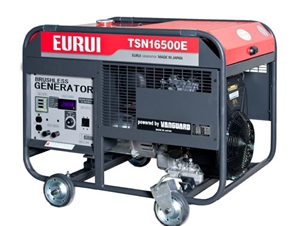 日本東洋汽油發(fā)電機(jī)單相TSN16500E