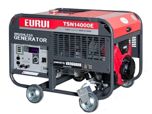 日本東洋汽油發(fā)電機(jī)單相TSN14000E