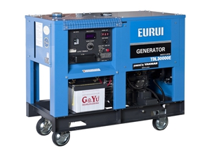 日本東洋發(fā)電機(jī)單相TDL30000E