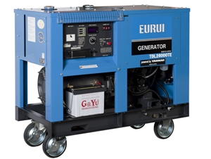 日本東洋發(fā)電機(jī)TDL26000TE