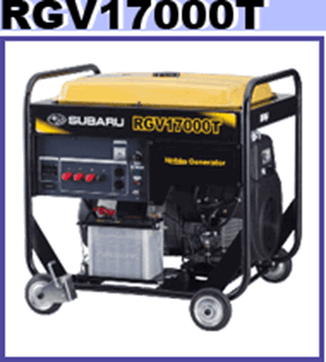 日本羅賓發(fā)電機(jī)RGV17100T