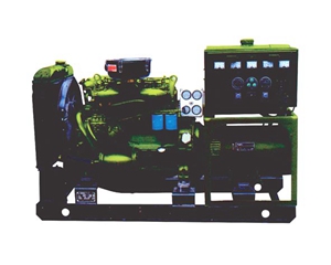 凱馬發(fā)電機(jī)KDE20E3D