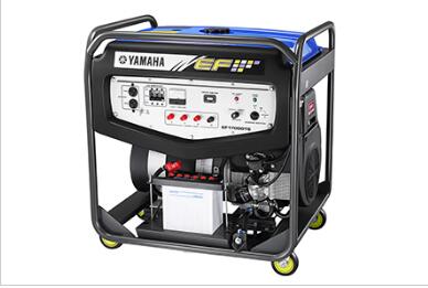 原裝進(jìn)口EF17000TE