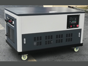 MIKETE麥克特動力30KW汽油發(fā)電機